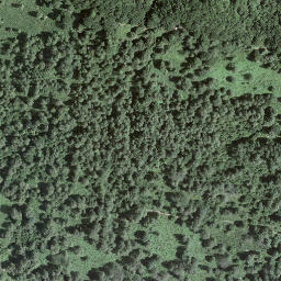 Satellite imagery of Mottone, CH