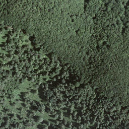 Satellite imagery of Mottone, CH
