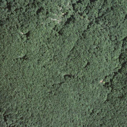 Satellite imagery of Mottone, CH