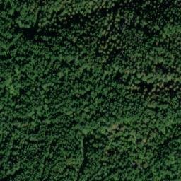 Satellite imagery of Jungle Point, US