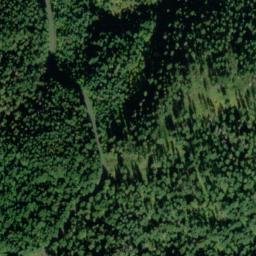 Satellite imagery of Jungle Point, US