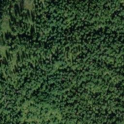 Satellite imagery of Jungle Point, US