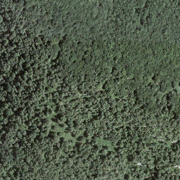 Satellite imagery of Mottone, CH
