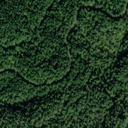 Satellite imagery of Jungle Point, US
