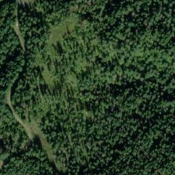 Satellite imagery of Jungle Point, US