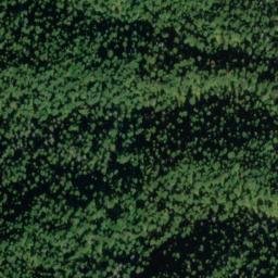 Satellite imagery of Jungle Point, US