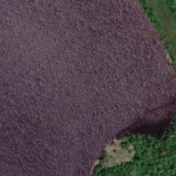 Satellite imagery of Gulnare Point, CA