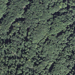 Satellite imagery of Motto del Tonö, CH