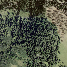 Satellite imagery of L'Aiguille, CH