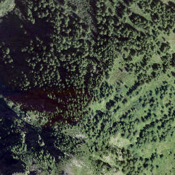 Satellite imagery of Bodmerhorn, CH