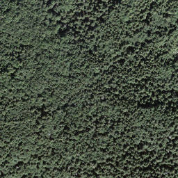 Satellite imagery of Motto d'Arbino, CH