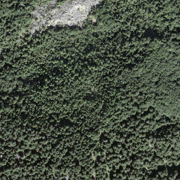 Satellite imagery of Motto d'Arbino, CH