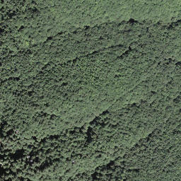 Satellite imagery of Motto d'Arbino, CH