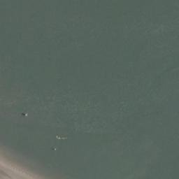 Satellite imagery of Tansy Point, US
