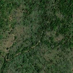 Satellite imagery of Cougar Ridge, US