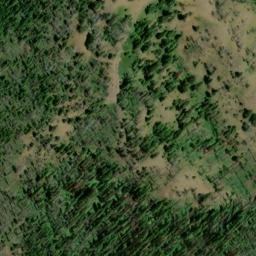Satellite imagery of Cougar Ridge, US