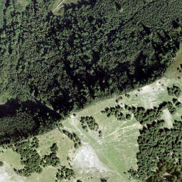 Satellite imagery of Jorniva, CH