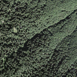 Satellite imagery of Motto d'Arbino, CH