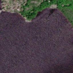 Satellite imagery of Buswell Point, CA