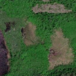 Satellite imagery of Buswell Point, CA