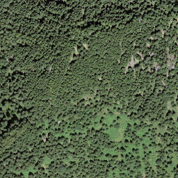 Satellite imagery of Motto d'Arbino, CH