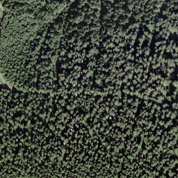 Satellite imagery of Sasso Guidà, CH