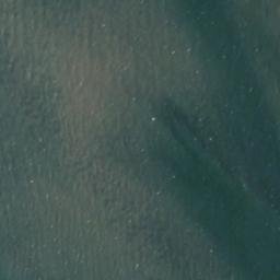 Satellite imagery of Smith Point, US