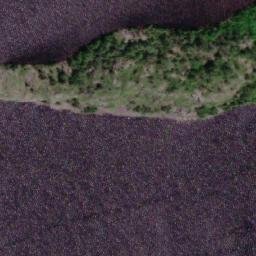 Satellite imagery of Buswell Point, CA