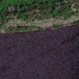 Satellite imagery of Buswell Point, CA