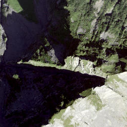 Satellite imagery of Les Trois Merles, CH
