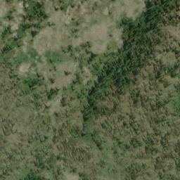 Satellite imagery of Louse Point, US
