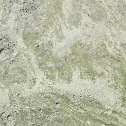 Satellite imagery of Rihorn, CH