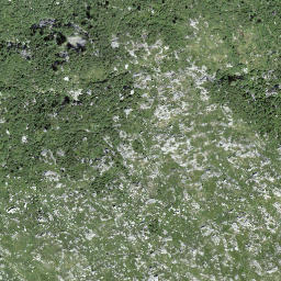 Satellite imagery of Cima di Cugn, CH