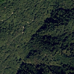 Satellite imagery of Colovrat, SI