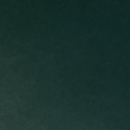 Satellite imagery of Green Point, US