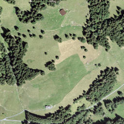 Satellite imagery of Savoune, CH