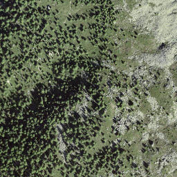 Satellite imagery of Plattja, CH