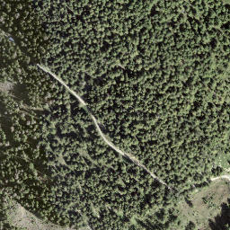 Satellite imagery of La Tourtse, CH