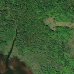 Satellite imagery of Collins Point, CA