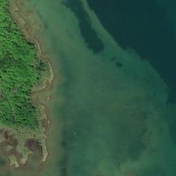 Satellite imagery of Collins Point, CA