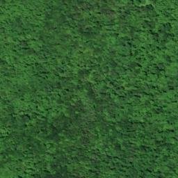 Satellite imagery of Graveyard Point, CA