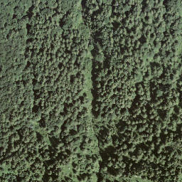 Satellite imagery of Pizzo di Corgella, CH