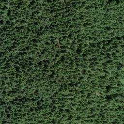 Satellite imagery of Breezy Point, US