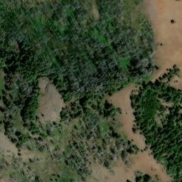 Satellite imagery of Big Turkey Tail, US