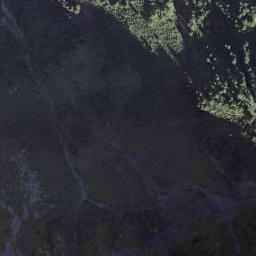 Satellite imagery of Signal de Bonavau, CH