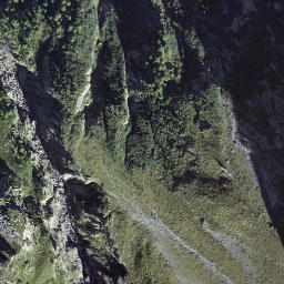 Satellite imagery of Grauhorulicka, CH