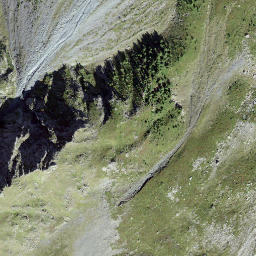 Satellite imagery of Grauhorulicka, CH