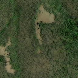 Satellite imagery of Bear Ridge, US