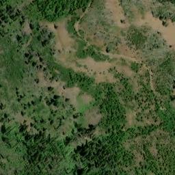 Satellite imagery of Buckley Ridge, US