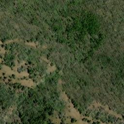 Satellite imagery of Bear Ridge, US
